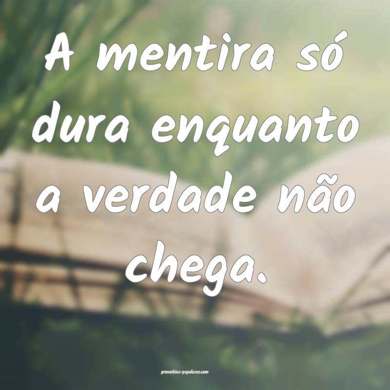A mentira só dura enquanto a verdade não chega.
 ...