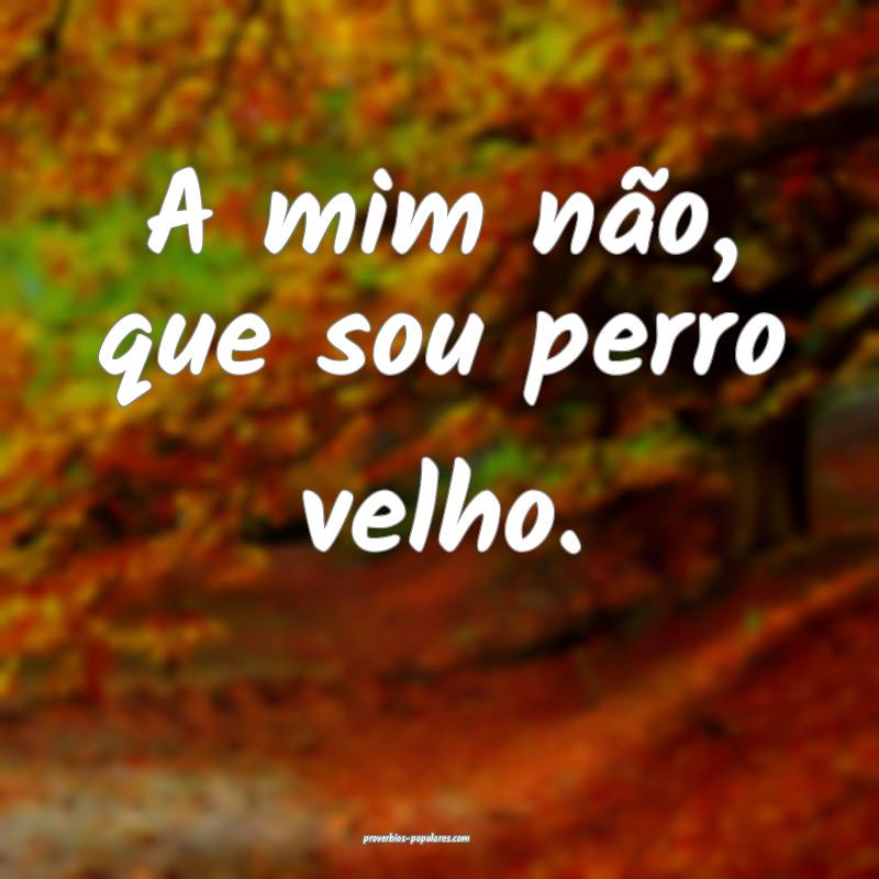 A mim não, que sou perro velho.
...