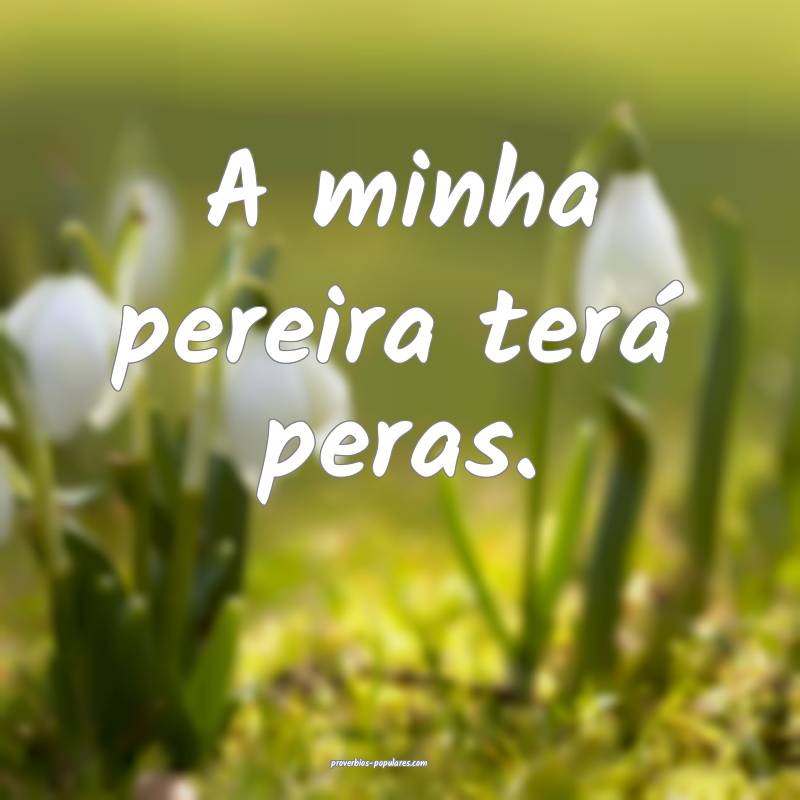 A minha pereira terá peras.
...