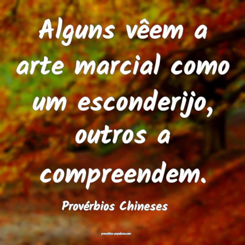Alguns vêem a arte marcial como um esconderijo, outros a compreendem....