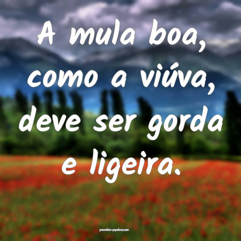 A mula boa, como a viúva, deve ser gorda e ligeir ...