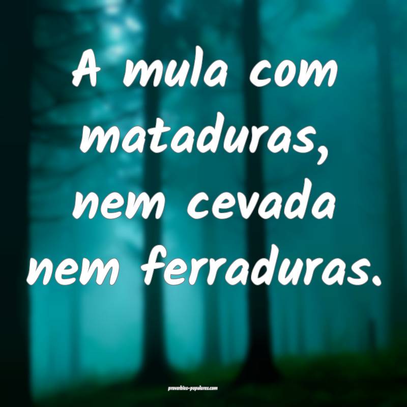 A mula com mataduras, nem cevada nem ferraduras.
...