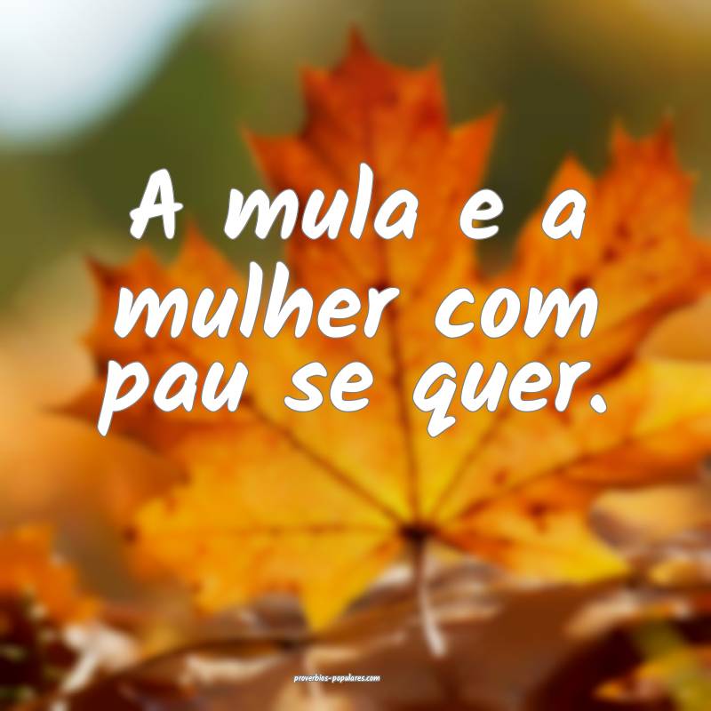 A mula e a mulher com pau se quer.
...