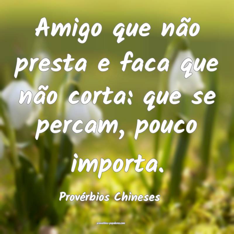 Amigo que não presta e faca que não corta: que se percam, pouco impo...