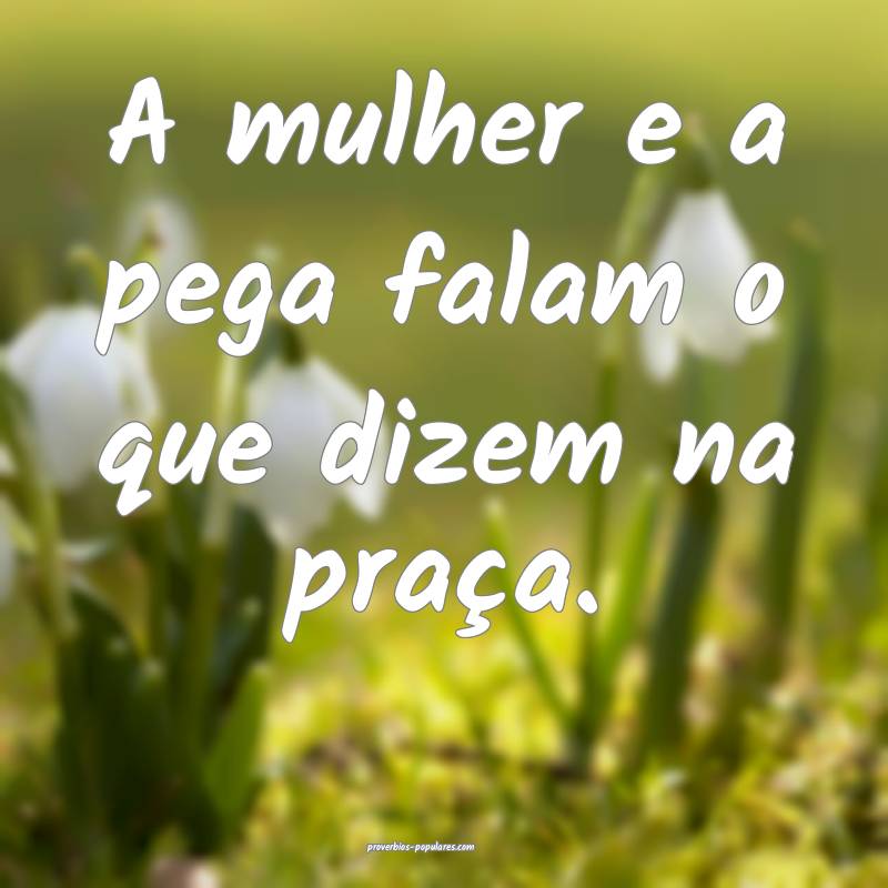 A mulher e a pega falam o que dizem na praça.
...