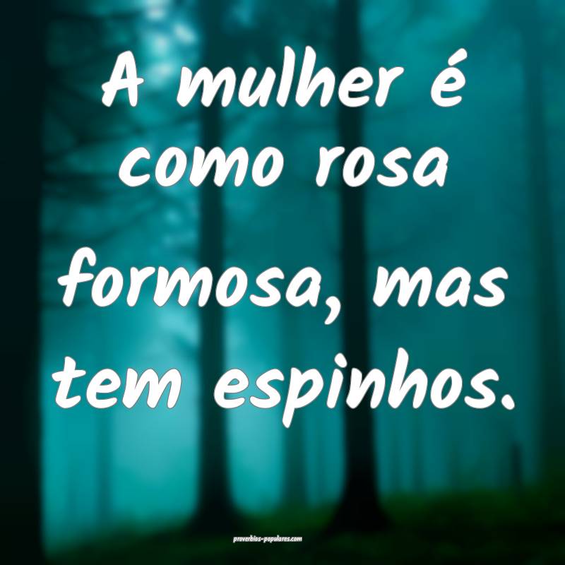 A mulher é como rosa formosa, mas tem espinhos.
...