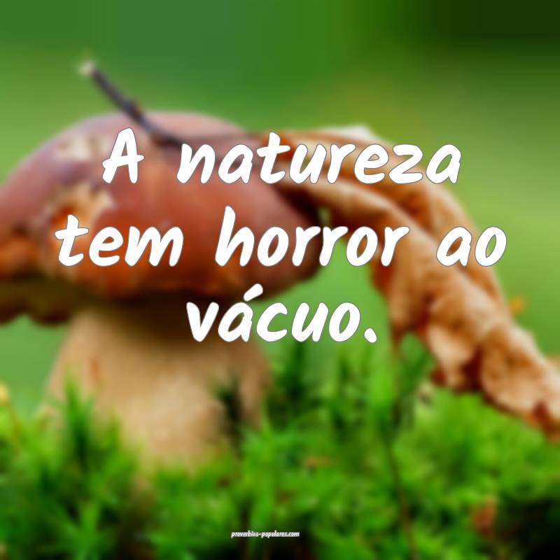 A natureza tem horror ao vácuo.
...