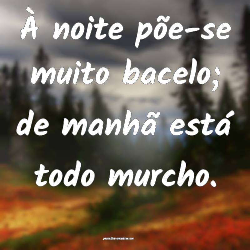 À noite põe-se muito bacelo; de manhã está tod ...