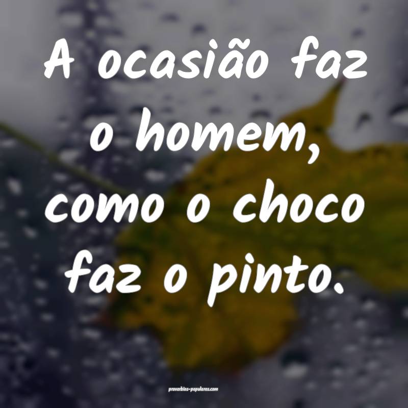 A ocasião faz o homem, como o choco faz o pinto.
...