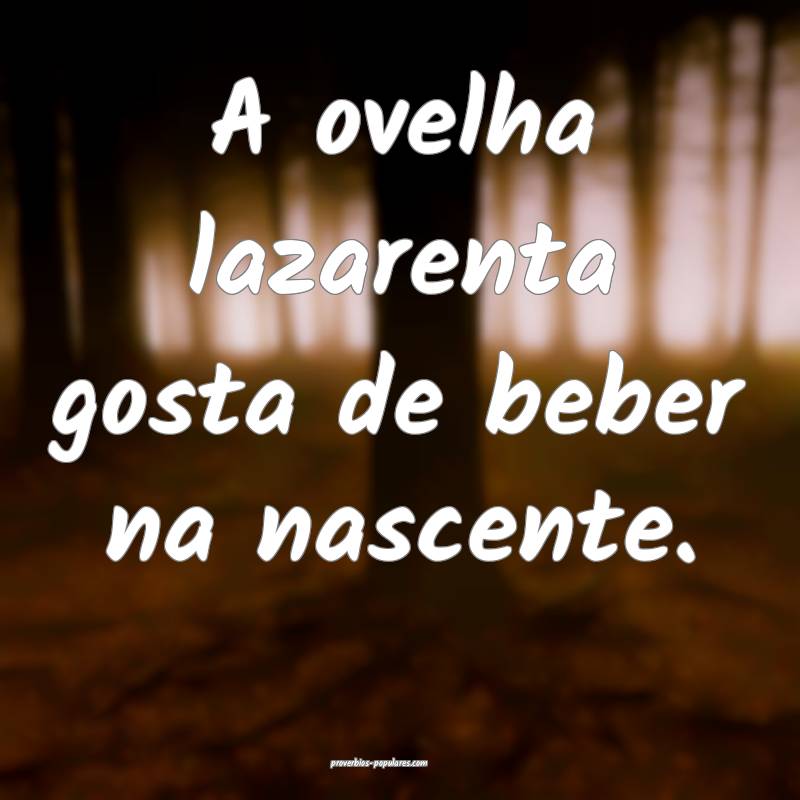 A ovelha lazarenta gosta de beber na nascente.
...