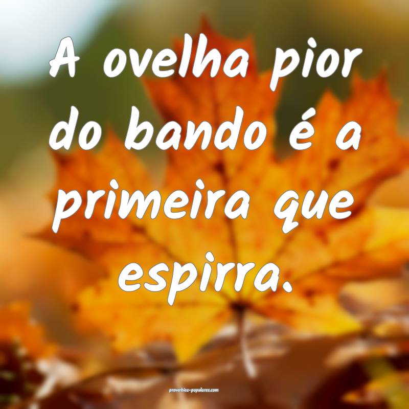 A ovelha pior do bando é a primeira que espirra.
...