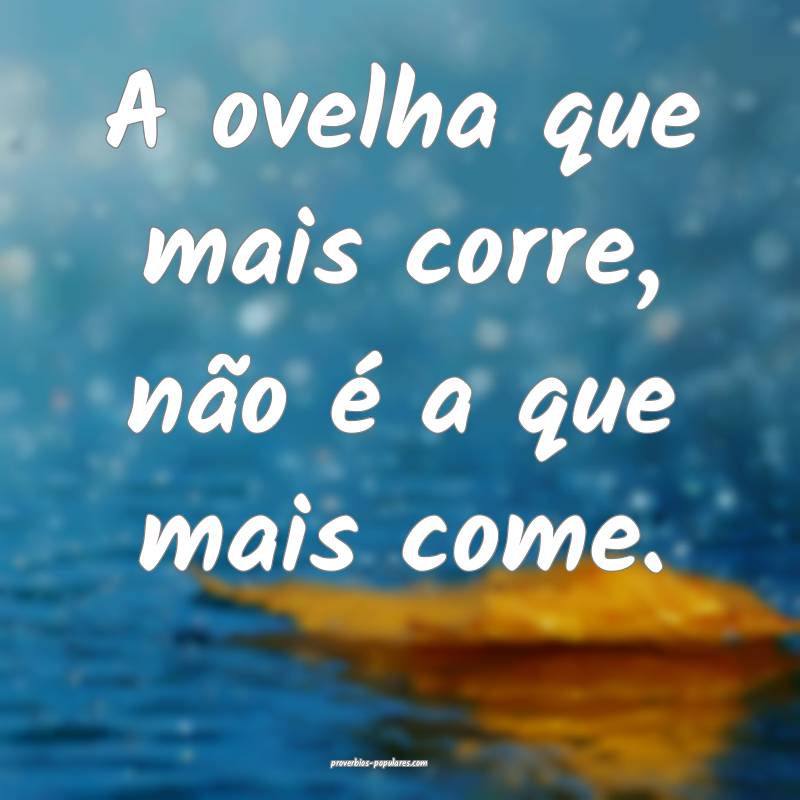 A ovelha que mais corre, não é a que mais come.
...