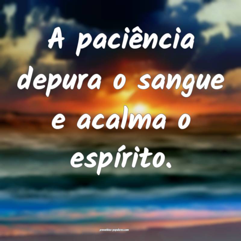 A paciência depura o sangue e acalma o espírito. ...