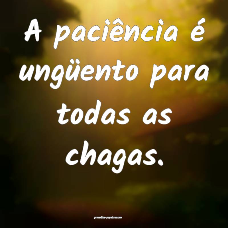 A paciência é ungüento para todas as chagas.
...
