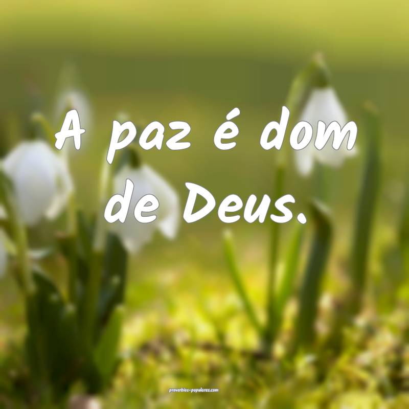 A paz é dom de Deus.
...