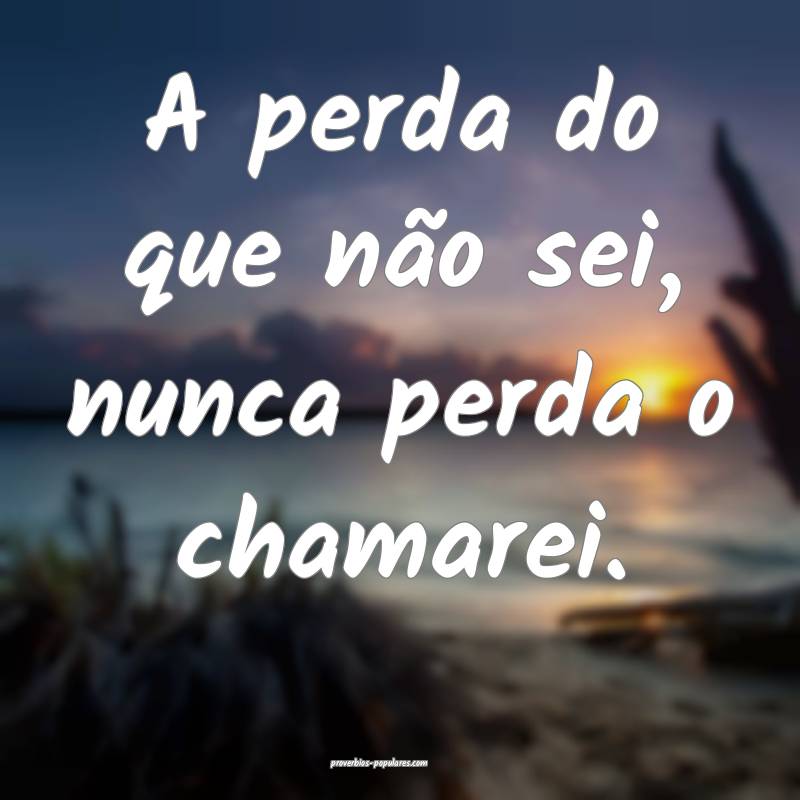 A perda do que não sei, nunca perda o chamarei.
...