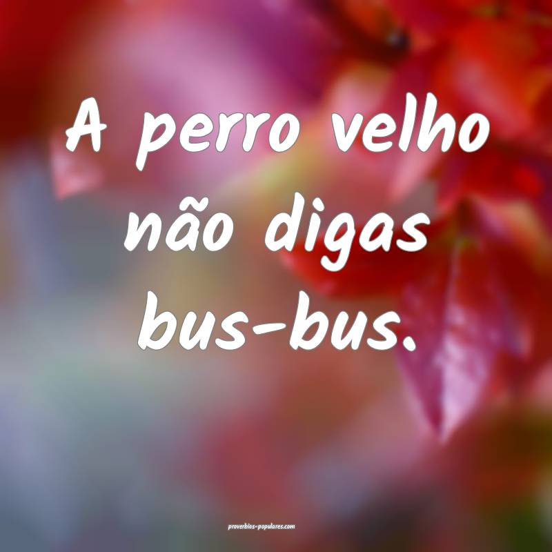 A perro velho não digas bus-bus.
...