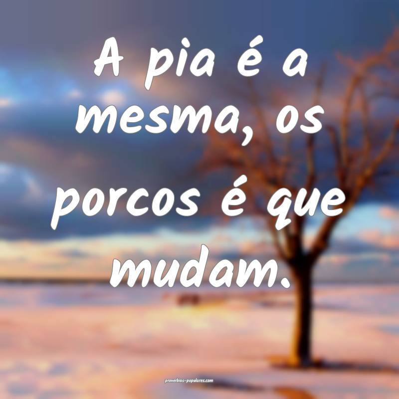A pia é a mesma, os porcos é que mudam.
...