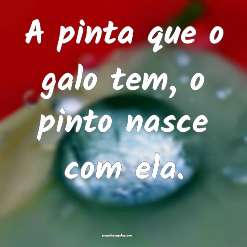 A pinta que o galo tem, o pinto nasce com ela.
 ...