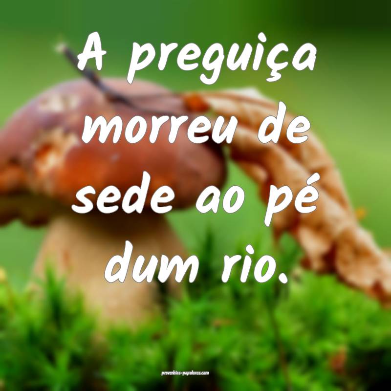 A preguiça morreu de sede ao pé dum rio.
...