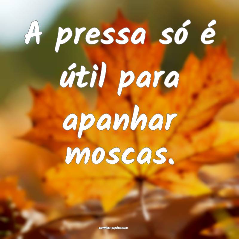 A pressa só é útil para apanhar moscas.
...