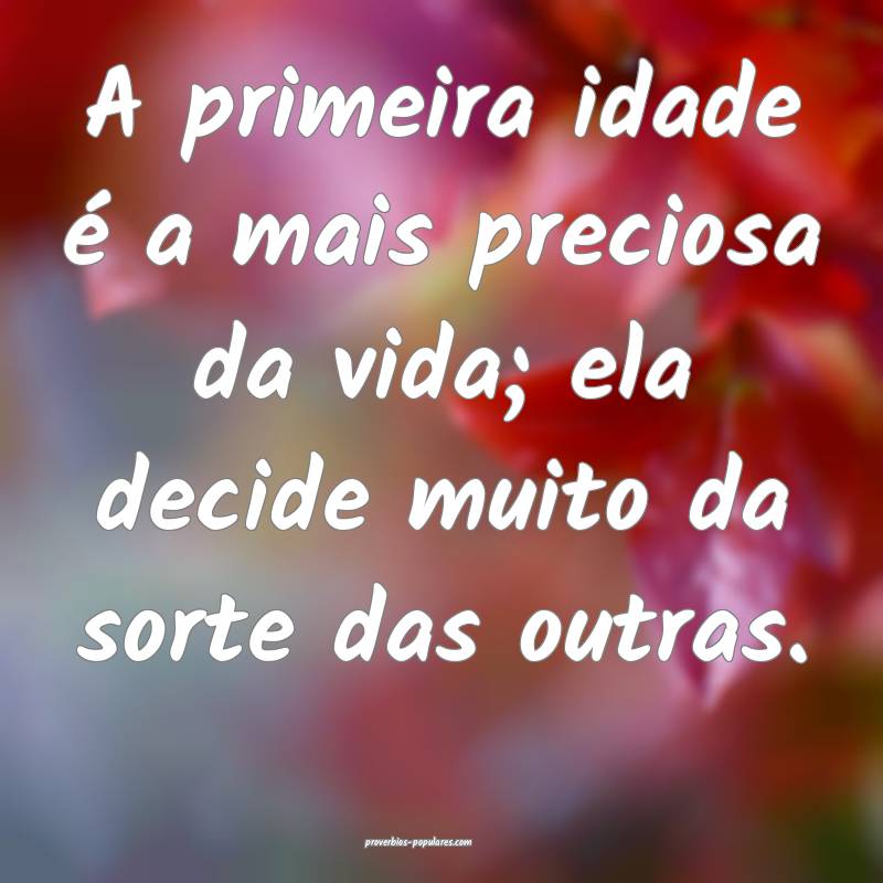 A primeira idade é a mais preciosa da vida; ela decide muito da sorte...