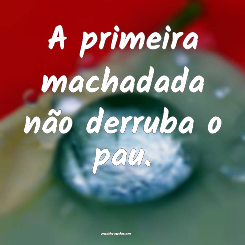 A primeira machadada não derruba o pau.
...