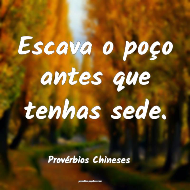 Escava o poço antes que tenhas sede.
...