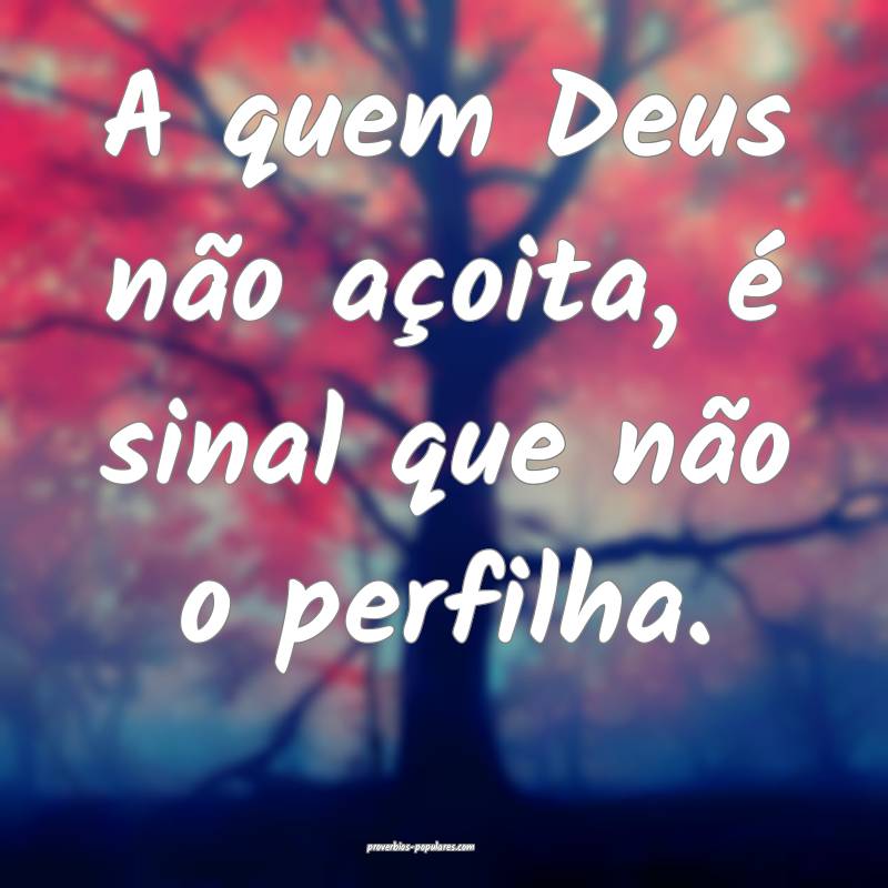 A quem Deus não açoita, é sinal que não o perfilha.
...