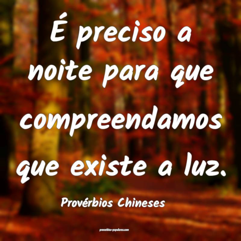 É preciso a noite para que compreendamos que existe a luz.
...