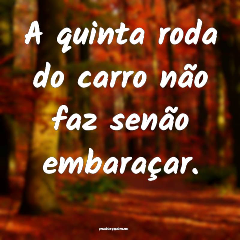 A quinta roda do carro não faz senão embaraçar.
...