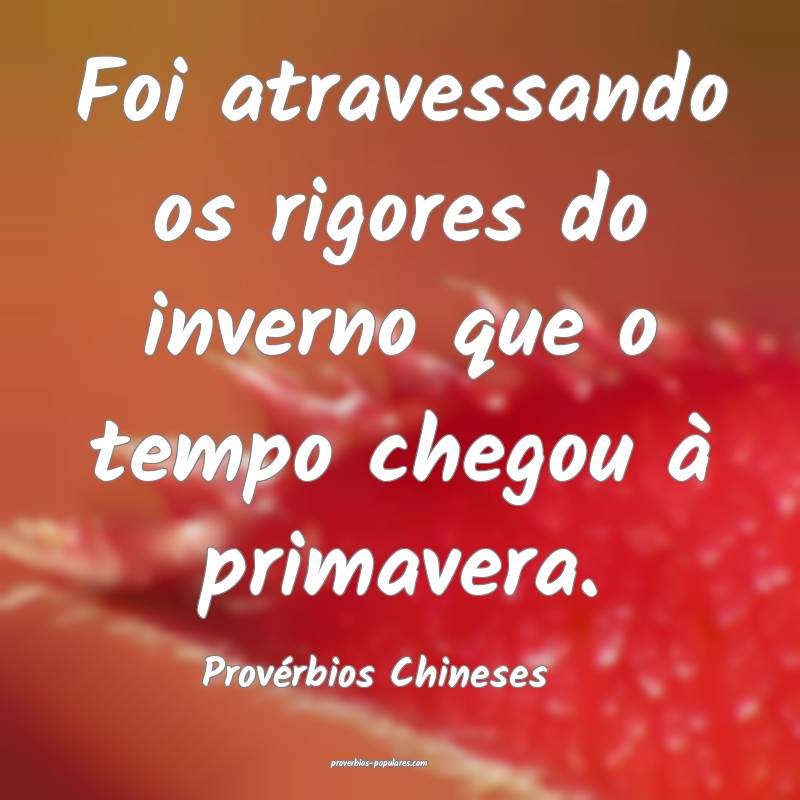 Foi atravessando os rigores do inverno que o tempo chegou à primavera...