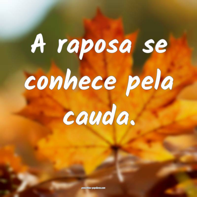 A raposa se conhece pela cauda.
...