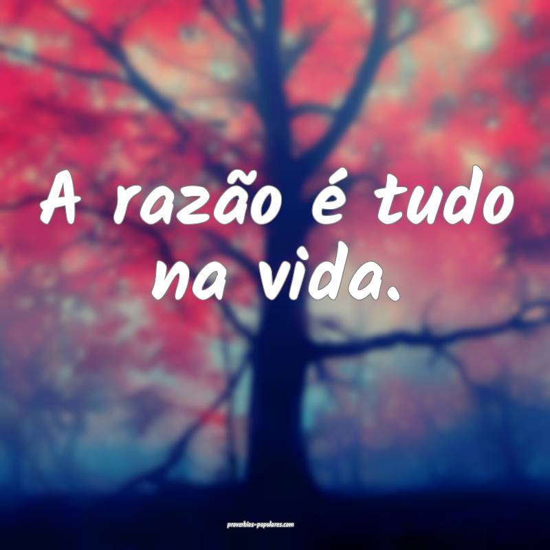 A razão é tudo na vida.
...