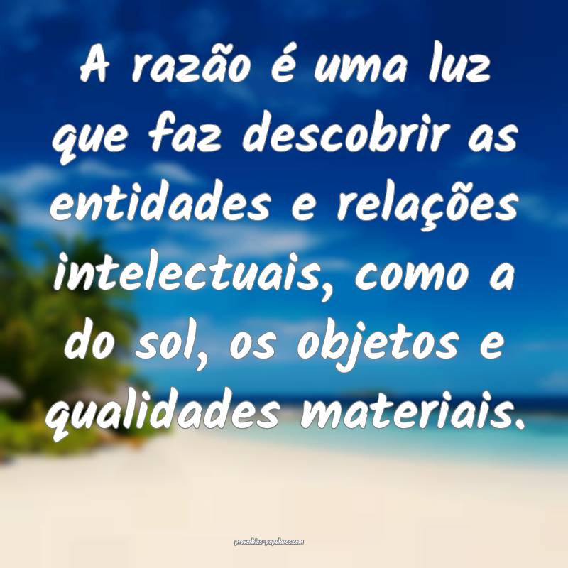 A razão é uma luz que faz descobrir as entidades e relações intele...