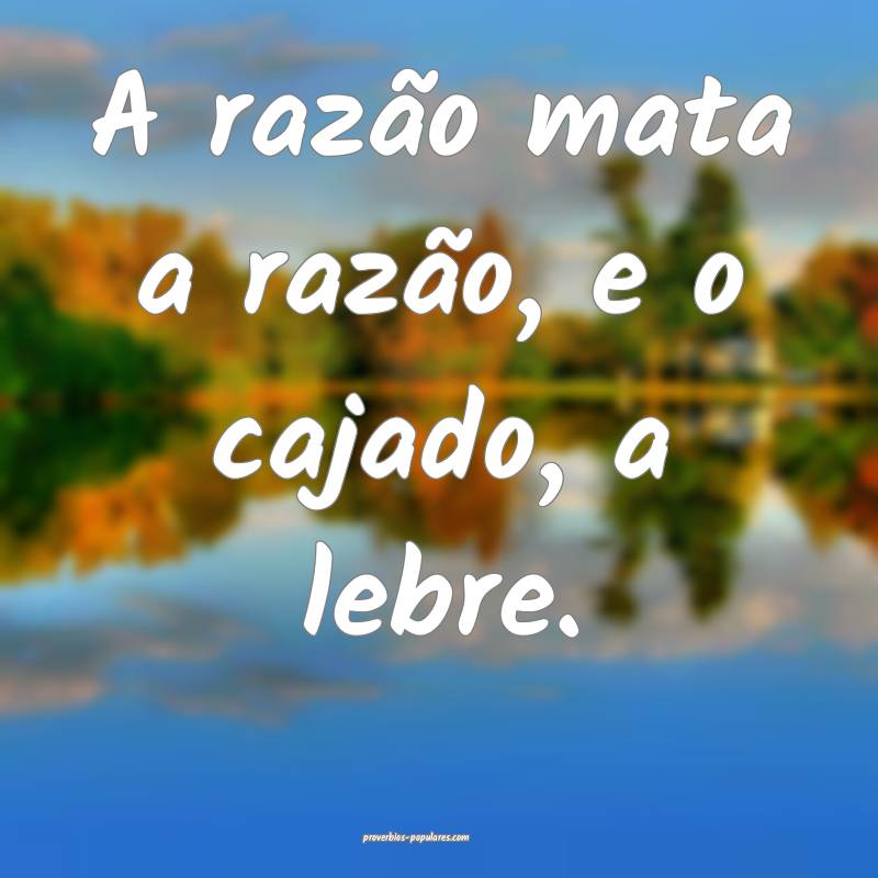 A razão mata a razão, e o cajado, a lebre.
...