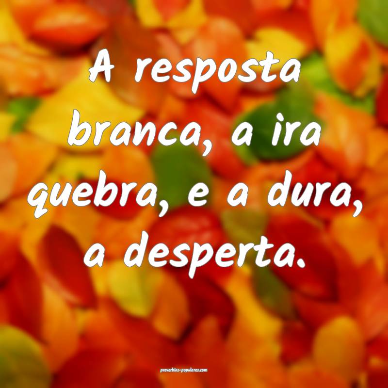 A resposta branca, a ira quebra, e a dura, a desperta.
...