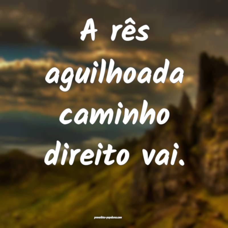 A rês aguilhoada caminho direito vai.
...