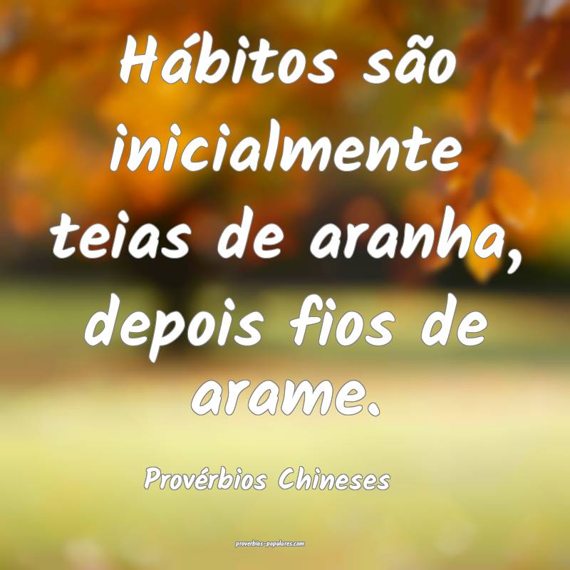 Hábitos são inicialmente teias de aranha, depois fios de arame.
...