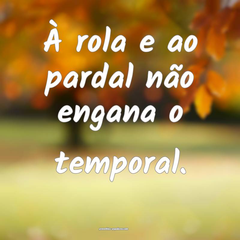 À rola e ao pardal não engana o temporal.
...