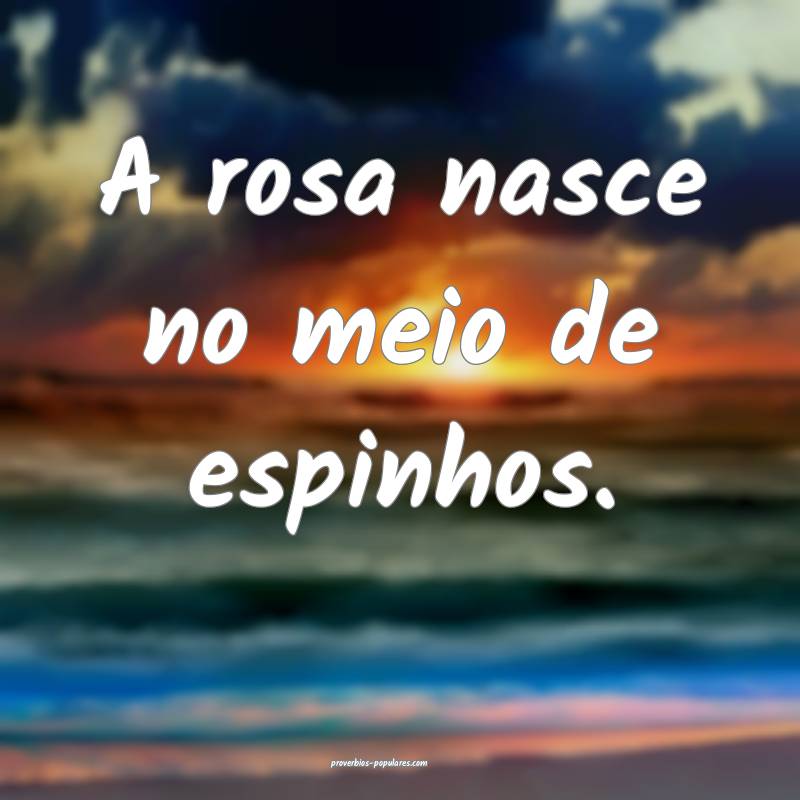 A rosa nasce no meio de espinhos.
...