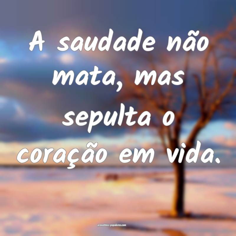 A saudade não mata, mas sepulta o coração em vida.
...