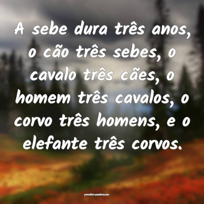 A sebe dura três anos, o cão três sebes, o cavalo três cães, o ho...