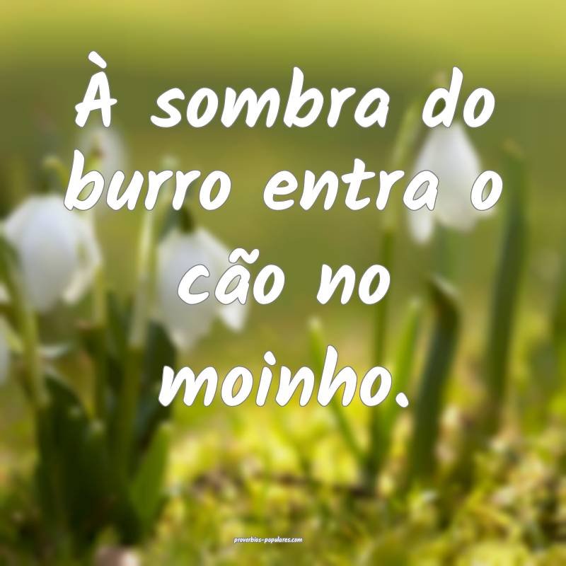 À sombra do burro entra o cão no moinho.
...