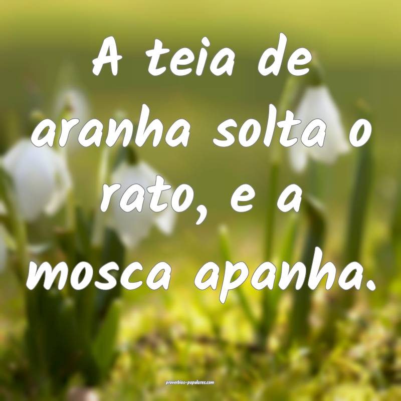 A teia de aranha solta o rato, e a mosca apanha.
...