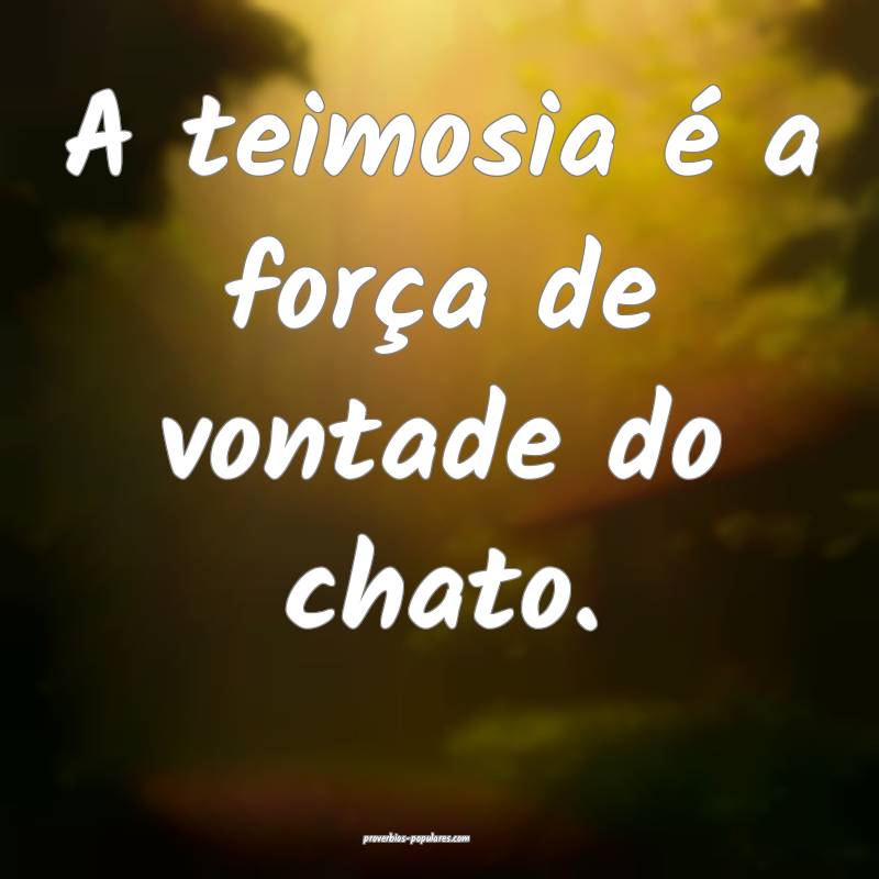 A teimosia é a força de vontade do chato.
...