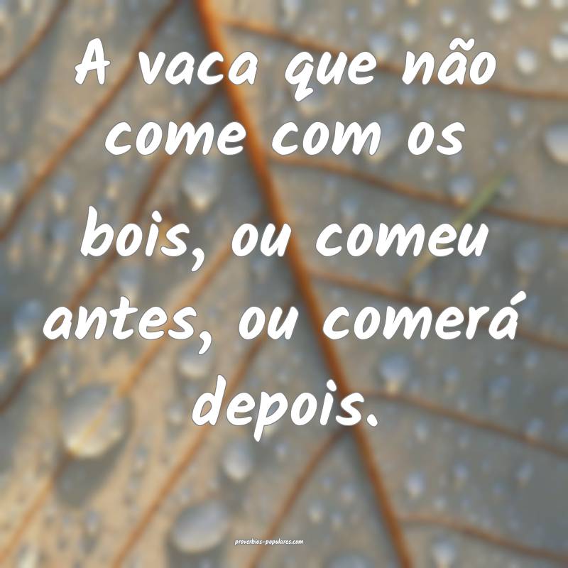 A vaca que não come com os bois, ou comeu antes, ou comerá depois.
...