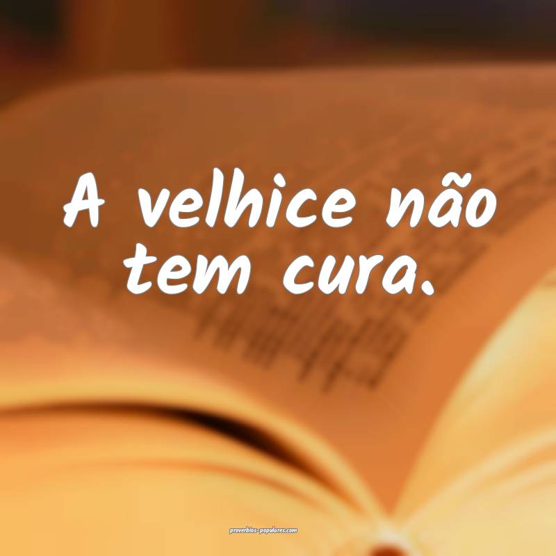 A velhice não tem cura.
...