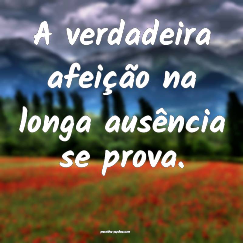 A verdadeira afeição na longa ausência se prova.
...