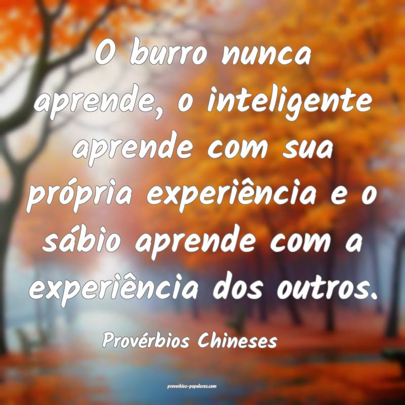 O burro nunca aprende, o inteligente aprende com sua própria experiê...